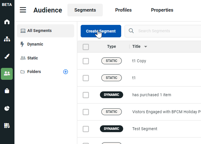 create-segment-audience-section